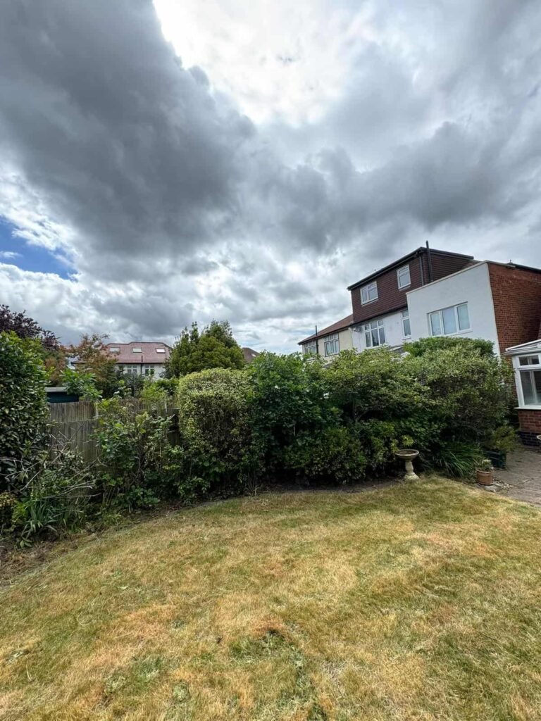 perfect garden in Surbiton